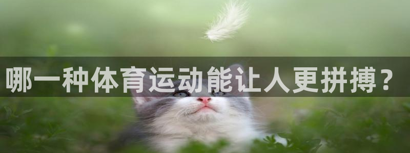 ug环球官网：哪一种体育运动能让人更拼搏？