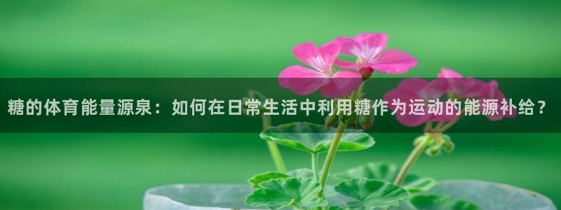 ug环球官网登录入口：糖的体育能量源泉：如何在日常生活中利用糖作为运动的能源补给？