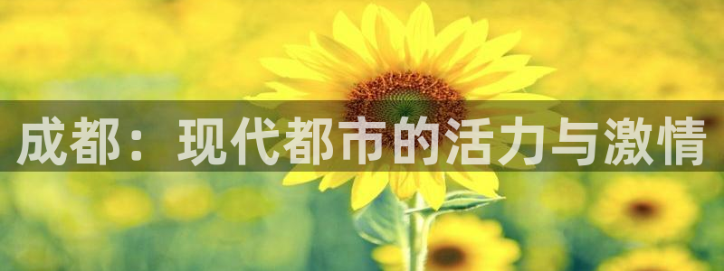 菲律宾ug环球官网：成都：现代都市的活力与激情