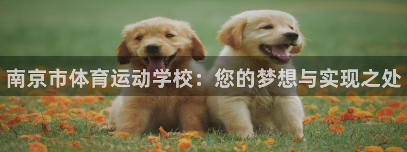 ug环球官网注册：南京市体育运动学校：您的梦想与实现之处