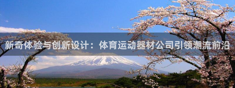 菲律宾ug环球官网：新奇体验与创新设计：体育运动器材公司引领潮流前沿