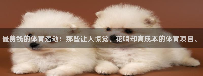 菲律宾ug环球官网：最费钱的体育运动：那些让人惊觉、花哨却高成本的体育项目。