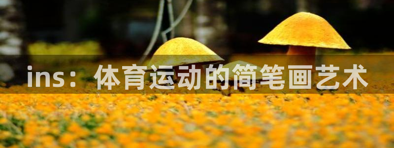 ug环球官网登录入口：ins：体育运动的简笔画艺术