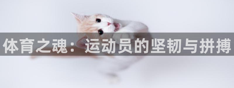 ug环球官网登录入口：体育之魂：运动员的坚韧与拼搏