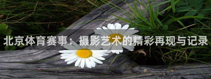 菲律宾ug环球官网：北京体育赛事：摄影艺术的精彩再现与记录
