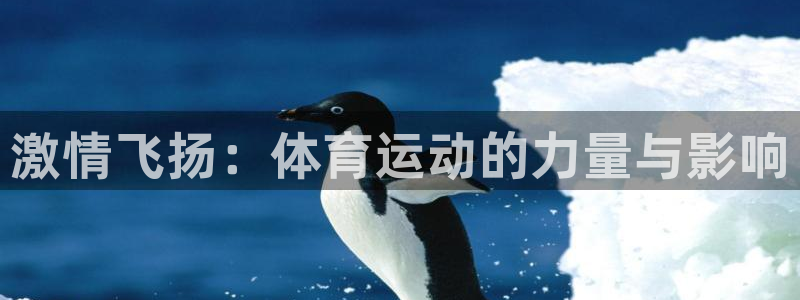 菲律宾ug环球官网：激情飞扬：体育运动的力量与影响